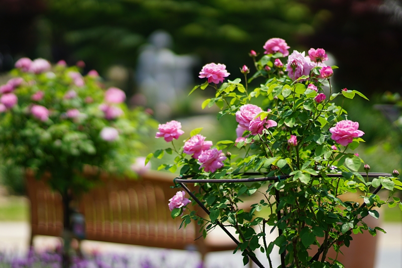 서 035.JPG