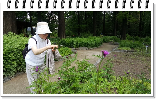 20180513_112828.jpg